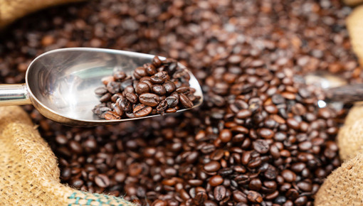 咖啡豆进口报关