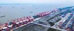 胡萝卜进口报关哪家好及通关操作流程