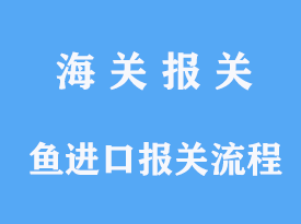 鱼进口报关流程到国内需要准备哪些手续