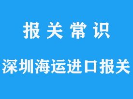 深圳海运进口报关需要注意什么