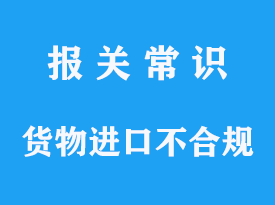 如果货物不符合进口国的检验检疫要求怎么办？