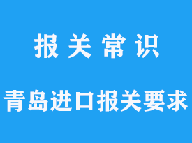 青岛进口报关海关具体要求