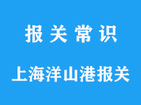 上海洋山港进口报关流程及海关要求