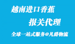 越南进口香蕉报关代理有将近12年的经验