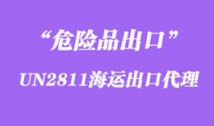 UN2811海运危险品上海出口申报代理