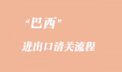巴西进口报关的操作程序