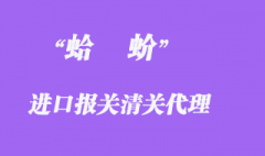 进口蛤蚧清关如何操作？