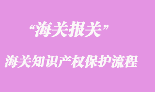 海关知识产权保护办事流程
