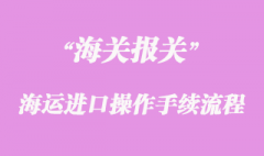 海运进口操作手续流程