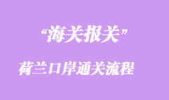 荷兰口岸通关流程