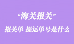 进出口货物报关单“提运单号”是什么