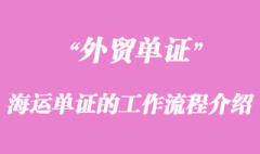 海运单证的工作流程介绍