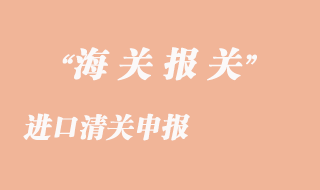 进口清关申报