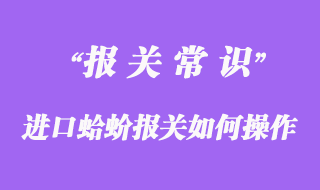 进口蛤蚧报关如何操作？