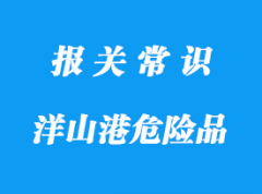 上海洋山港危险品进口清关需要的资料信息整理