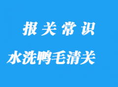 水洗鸭毛进口清关手续流程与注意事项