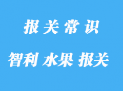 智利水果进口报关费用是怎样的?