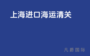 上海进口海运清关