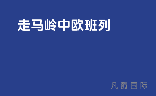 走马岭中欧班列